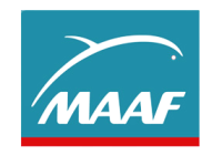 maaf
